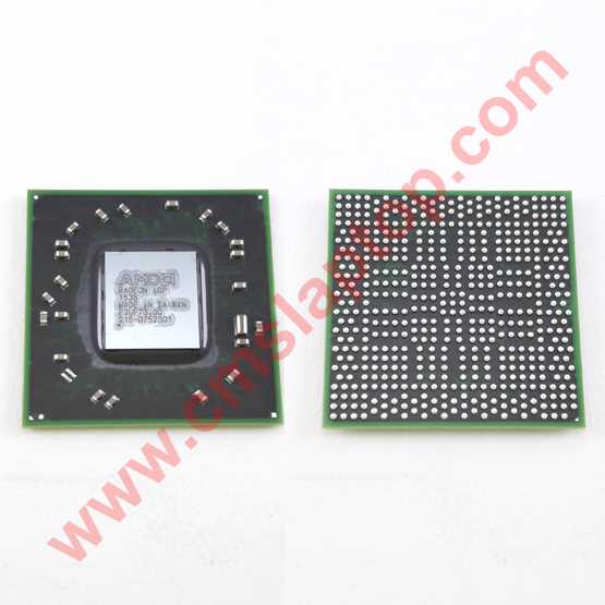 AMD IGP 216-0752001